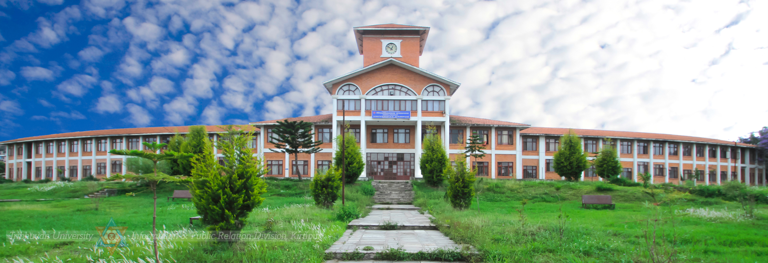 blog image